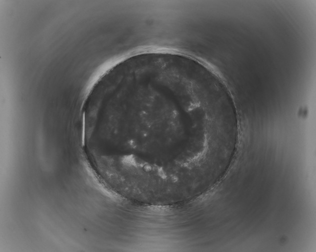 X0000111051223200907091626