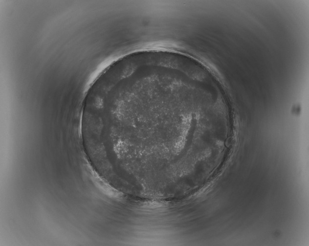 X0000111051224200907091626