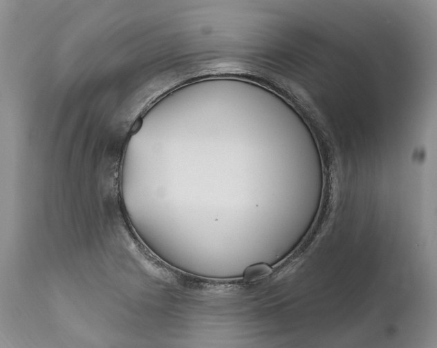 X0000111051225200907091626