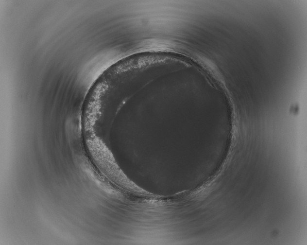 X0000111051226200907091626