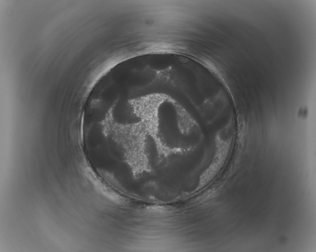 X0000111051227200907091626