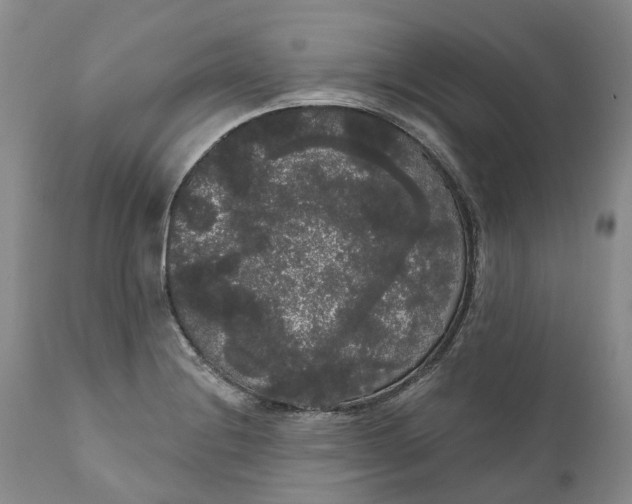 X0000111051228200907091626