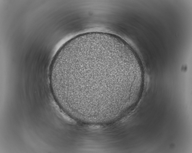 X0000111051230200907091626