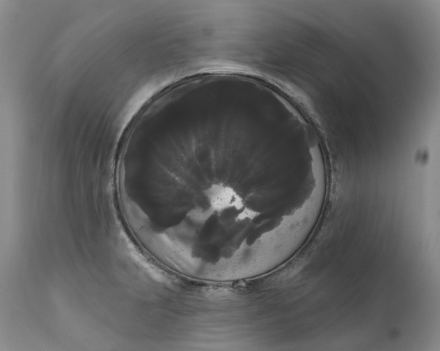 X0000111051231200907091626