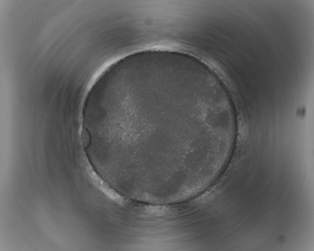 X0000111051232200907091626