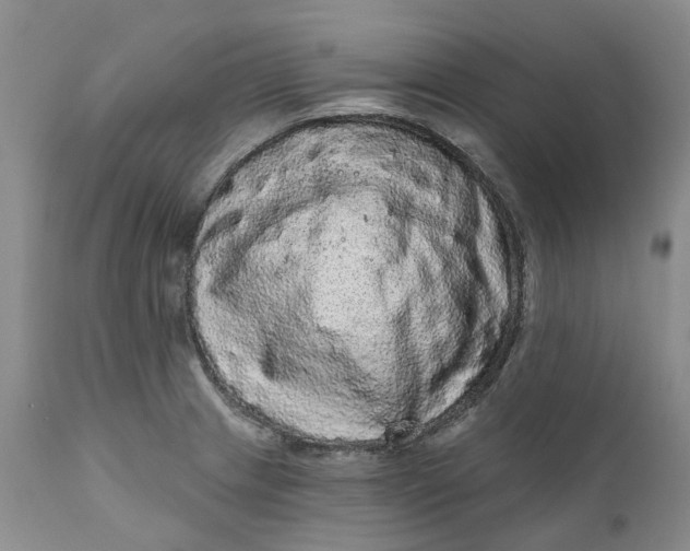 X0000111051233200907091626