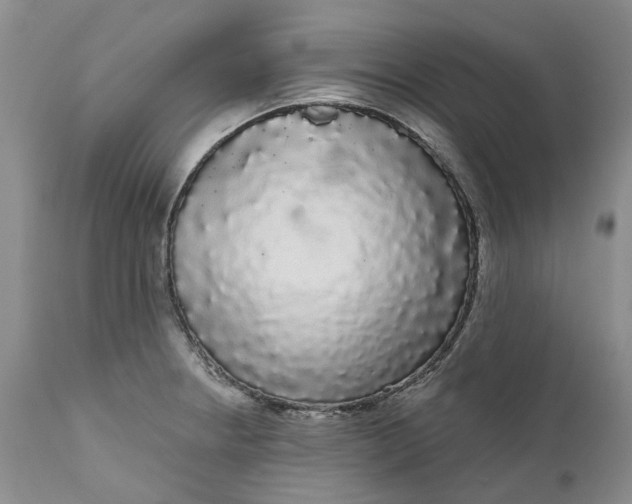 X0000111051234200907091626