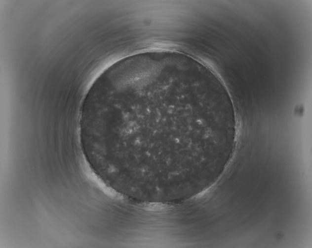 X0000111051235200907091626