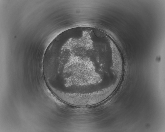 X0000111051236200907091626