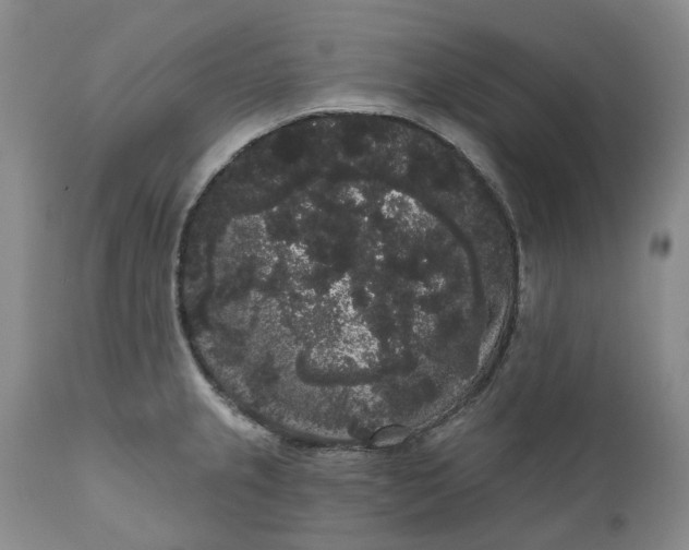 X0000111051237200907091626