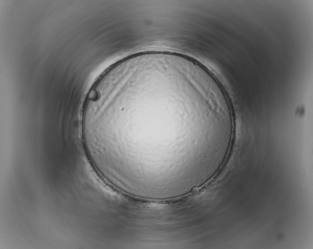 X0000111051238200907091626