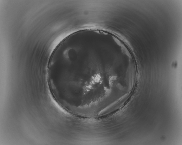 X0000111051239200907091626