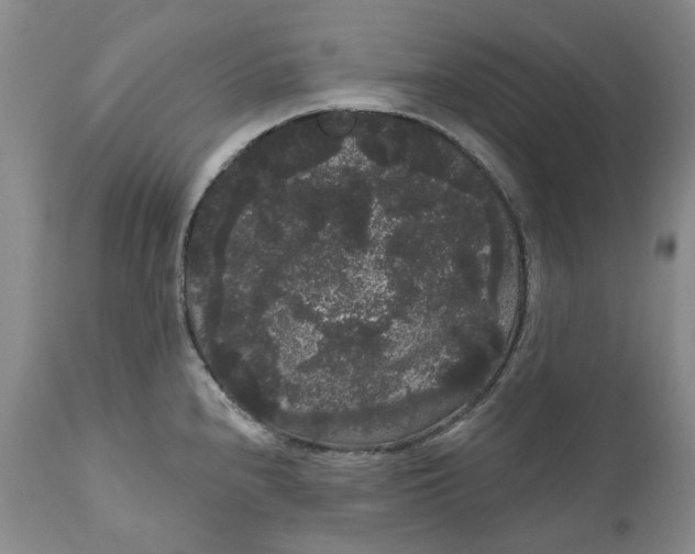 X0000111051240200907091626