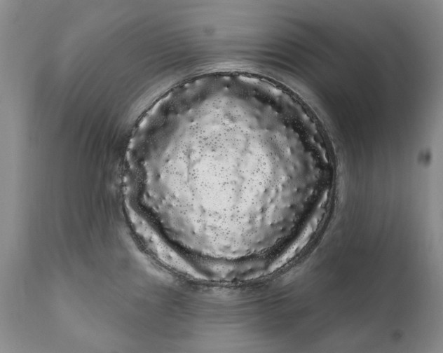 X0000111051241200907091626