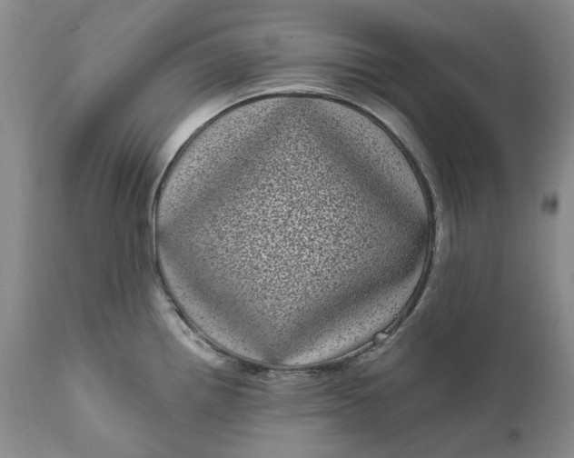 X0000111051242200907091626