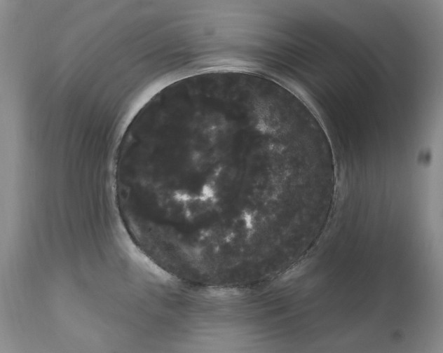 X0000111051243200907091626