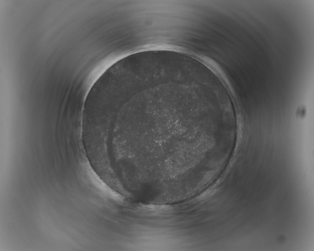 X0000111051244200907091626