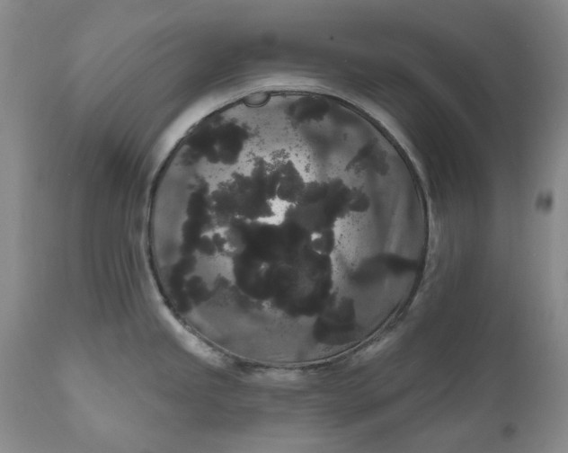 X0000111051245200907091626