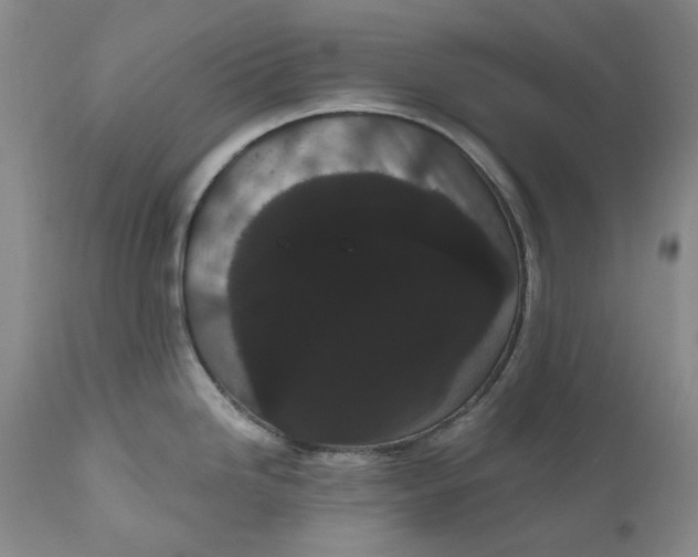 X0000111051246200907091626