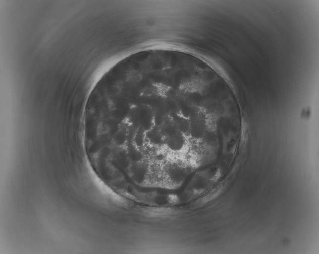 X0000111051247200907091626