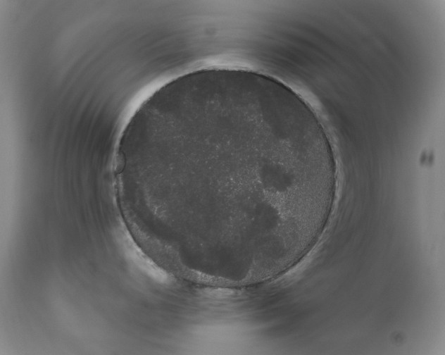 X0000111051248200907091626