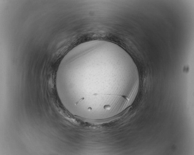 X0000111051250200907091625