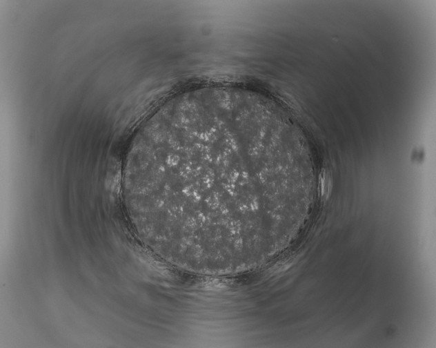 X0000111051251200907091625