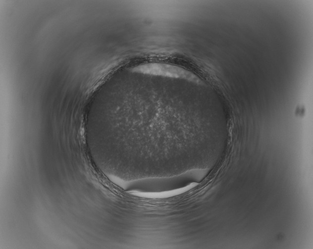 X0000111051252200907091625