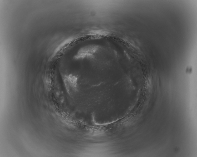 X0000111051254200907091625