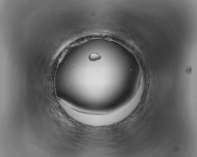 X0000111051256200907091625