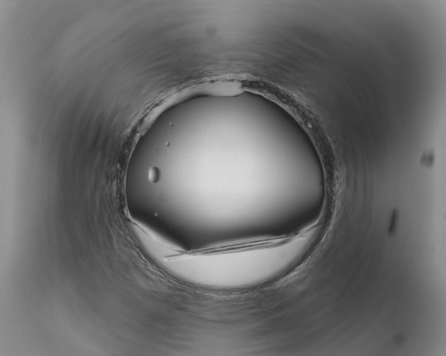 X0000111051257200907091625