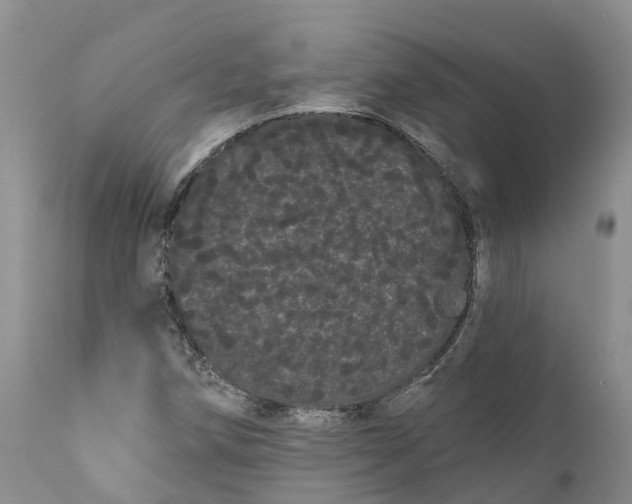 X0000111051258200907091625