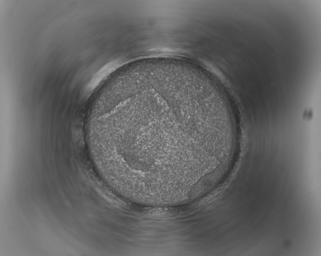 X0000111051259200907091625