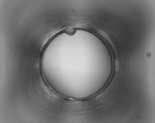 X0000111051260200907091625