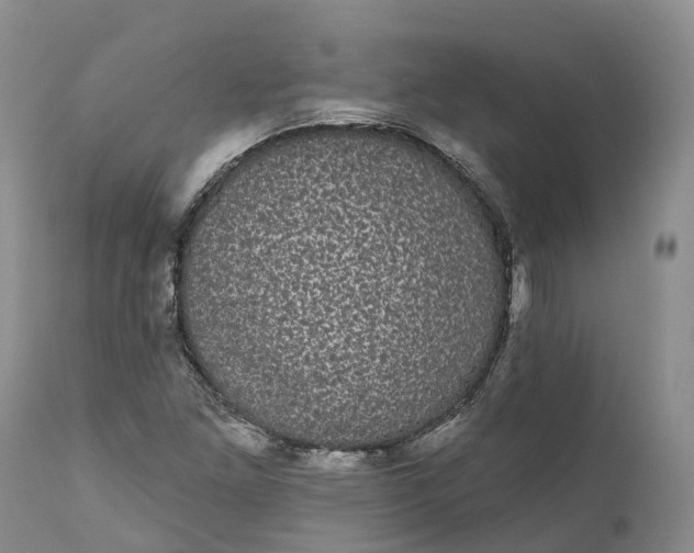 X0000111051261200907091625