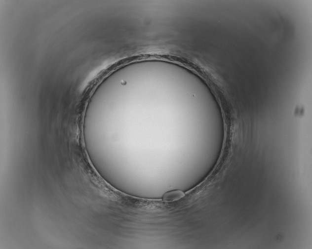 X0000111051262200907091625