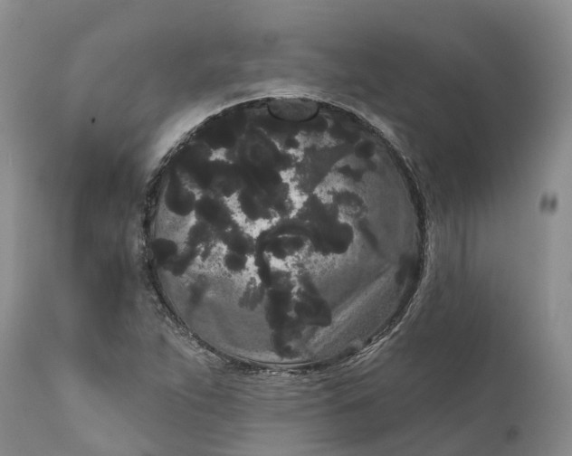 X0000111051263200907091625