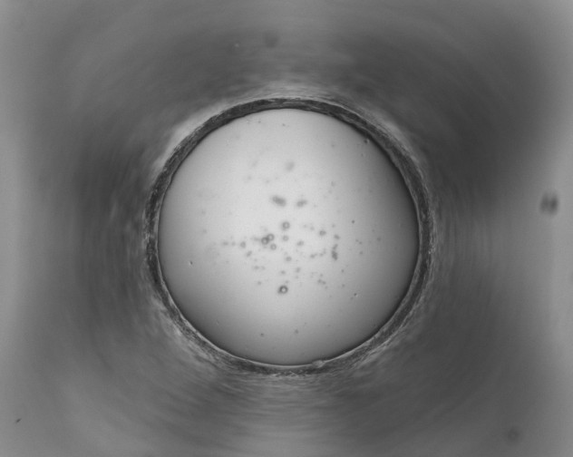 X0000111051264200907091625