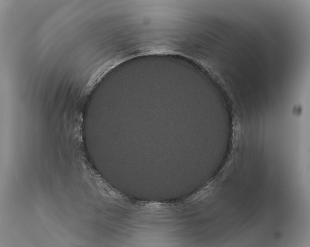 X0000111051265200907091625