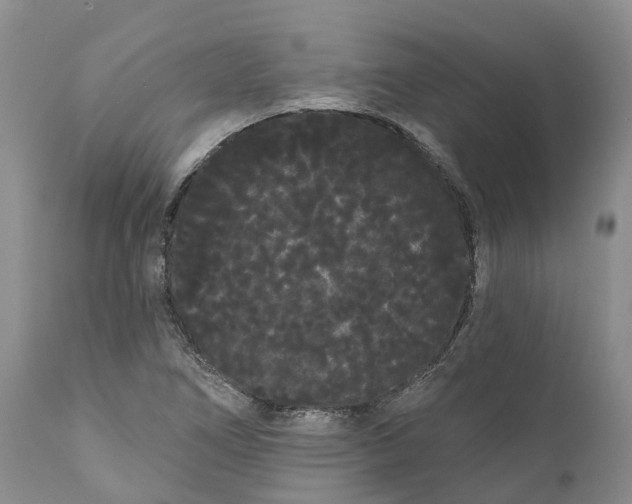 X0000111051266200907091625