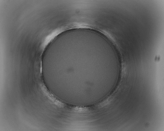 X0000111051269200907091625