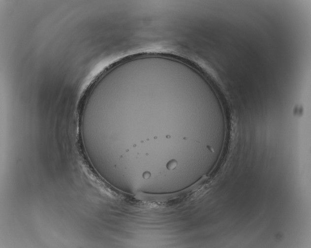 X0000111051270200907091625