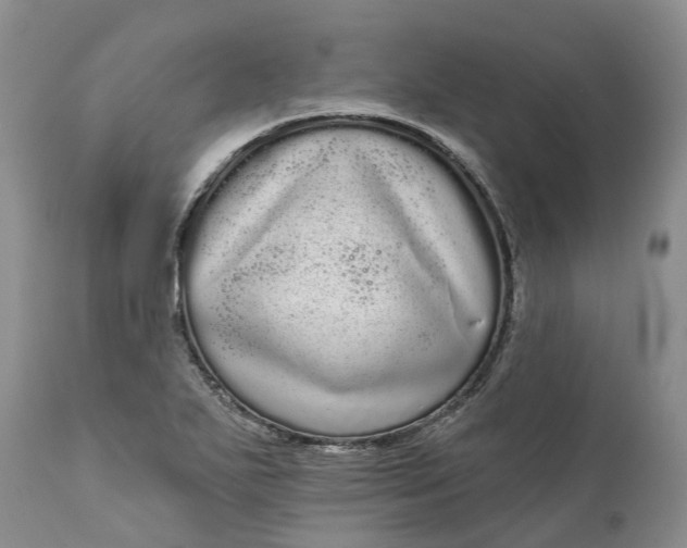 X0000111051271200907091625