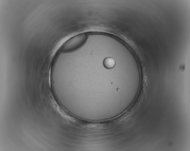 X0000111051272200907091625