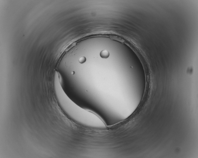 X0000111051273200907091625