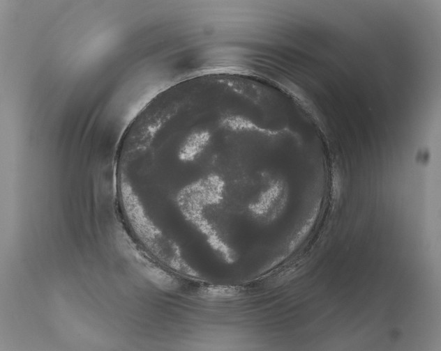 X0000111051274200907091625