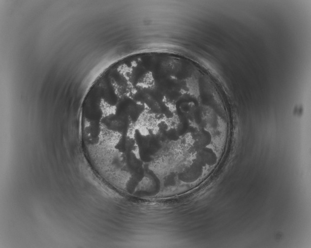 X0000111051275200907091625