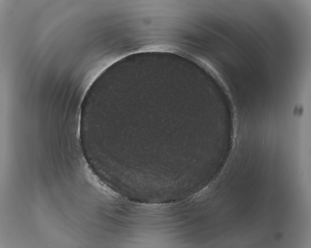 X0000111051276200907091625