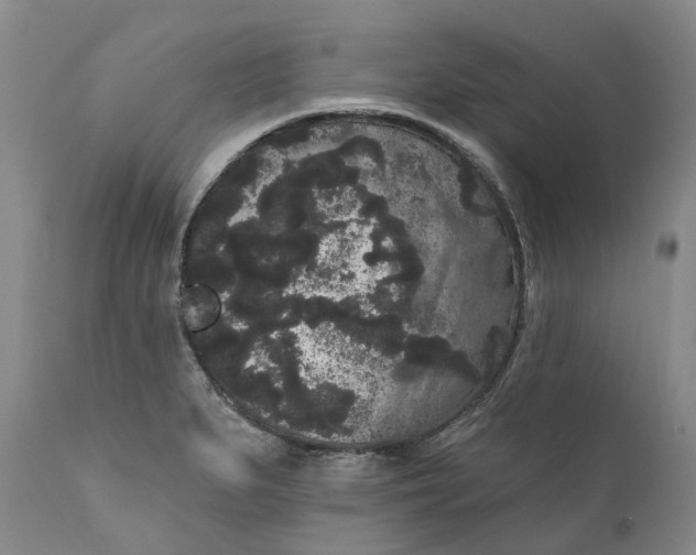 X0000111051279200907091625