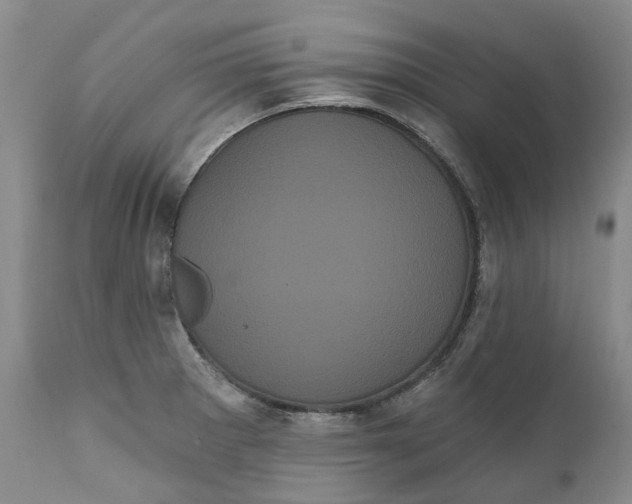 X0000111051281200907091625